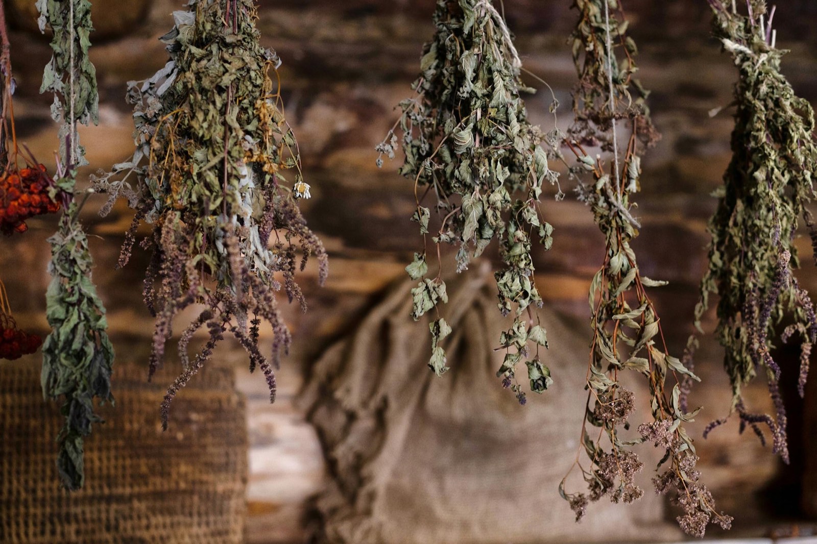 Herbal still, Wellness and Longevity
