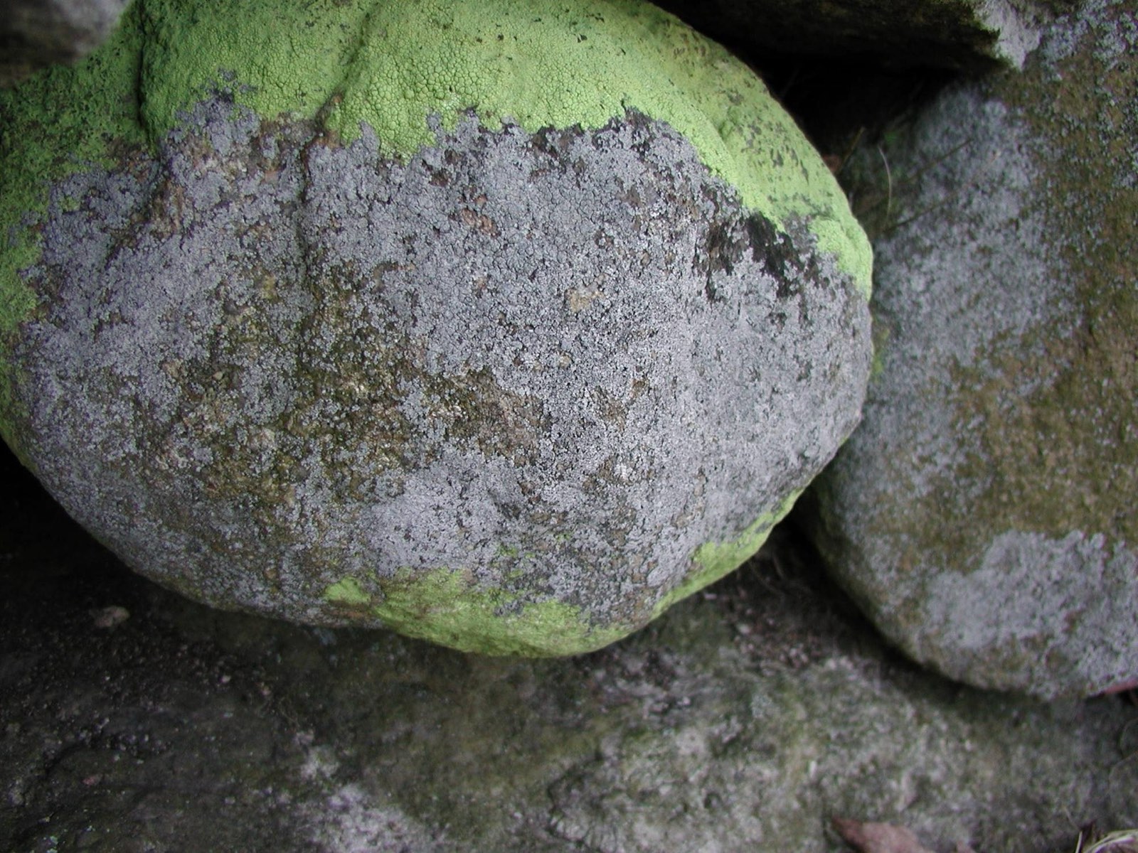 Fieldstone, Fieldstone laid in lime mortar