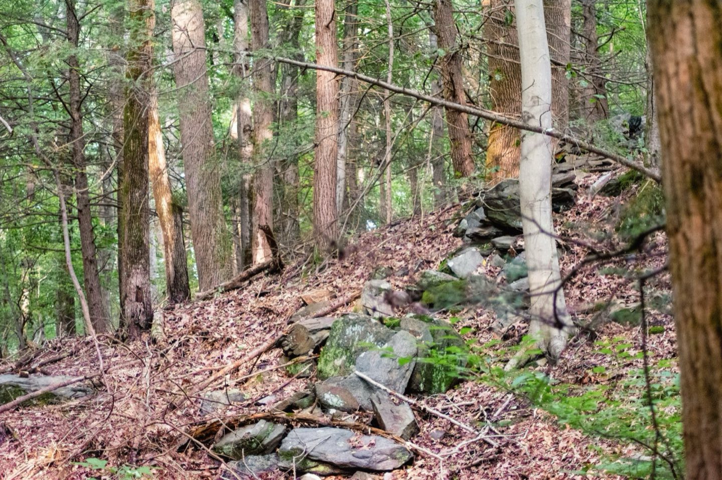 Ne fieldstone