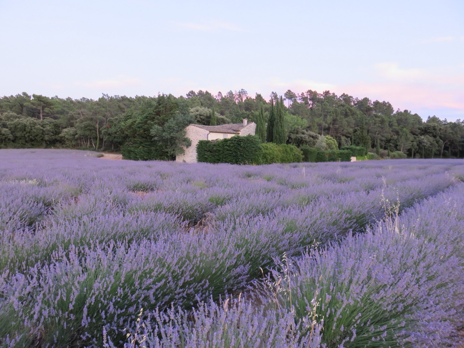 Provence bastide 2